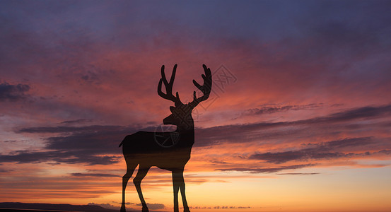 傍晚天空下奔跑的鹿图片