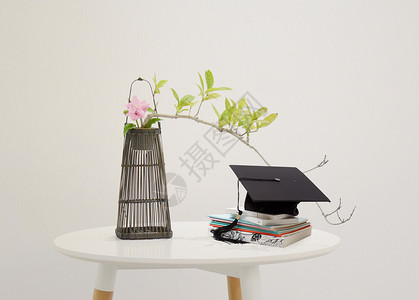 植物绿植花盆桌面盆景书本帽子设计图片