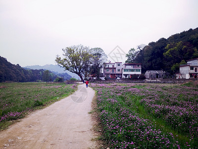 进坑美丽的风景背景