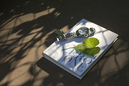 封面素材植物时间与书背景