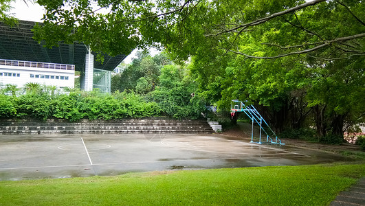 体育广场绿树掩映下的篮球场背景
