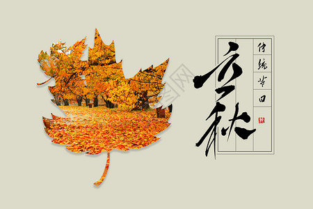 文化节气节日立秋设计图片