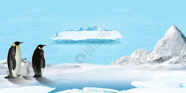 乖巧企鹅冰凉一夏背景设计图片