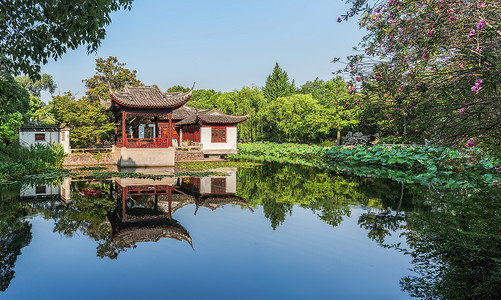 蓝色镜面夏季荷塘与古建筑背景