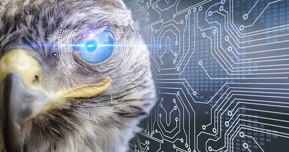 科技眼睛识别图片鹰眼瞳孔识别科技背景