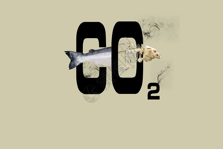 鸡肉鱼肉二氧化碳肆虐排放的后果设计图片