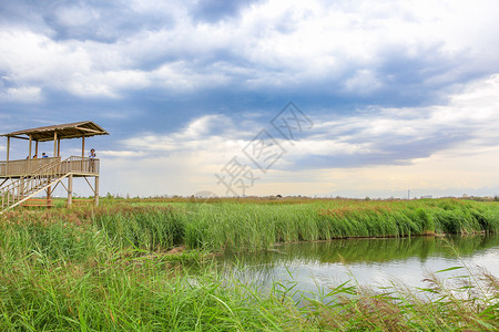 甘肃张掖湿地公园背景