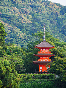 禅宗绿色清水寺背景