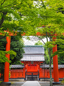 禅宗绿色清水寺背景