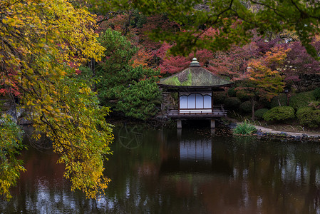 日式花园日本庭院背景