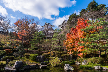 金钻植物日本建筑金泽城的秋天背景