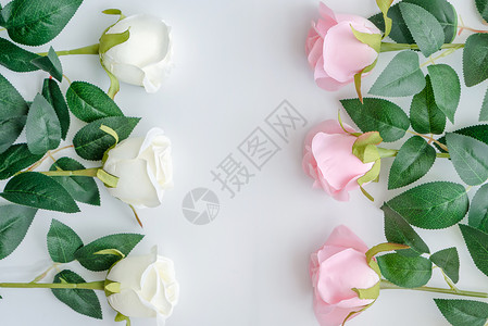 玫瑰花粉白玫瑰高清图片