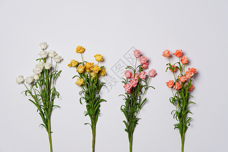 粉色可爱网页花卉组合摆放素材背景