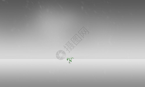 雨加雪空旷的冬天小草树苗屹立在雪景雪地简约极简背景设计图片