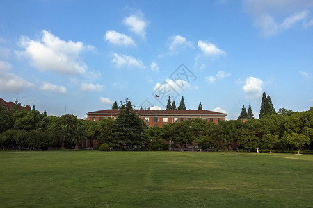 大树成长素材学校教学楼草坪背景