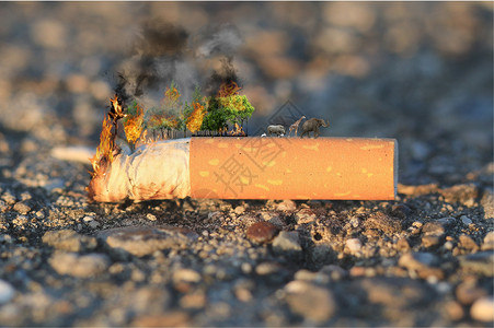 香烟燃烧燃烧森林家园设计图片