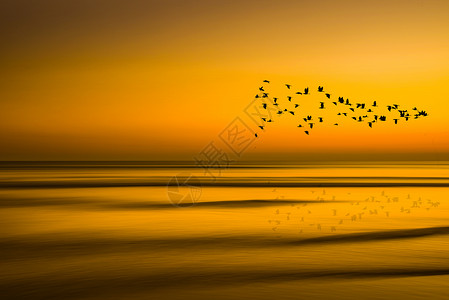 唯美黄昏海滩日落设计图片