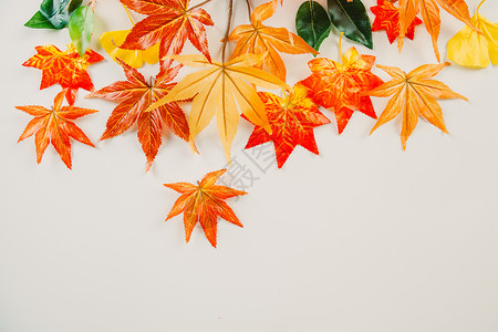 立秋秋分暖色系纯色高清图片