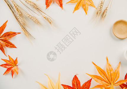 秋天枫叶文艺图片高清图片