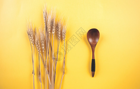 节约粮食、秋季小麦丰收背景