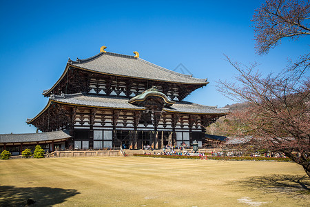 木质樱花小便签日本奈良东大寺背景
