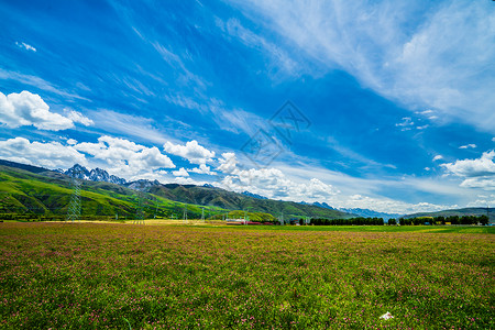 野花草原天空四川317国道路边景色背景