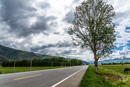 遥远的路素材四川甘孜317国道背景