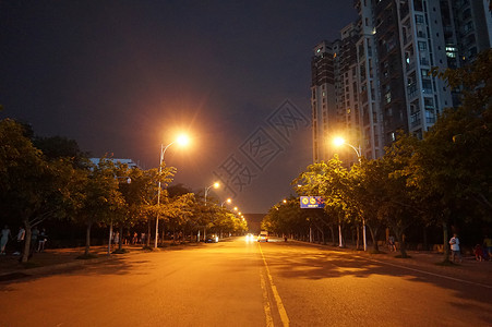 路灯下看书西华大学校园路一旁背景