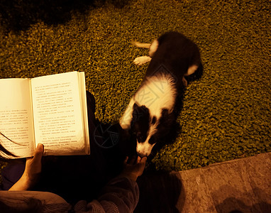 美女与狗傍晚夜读背景图片