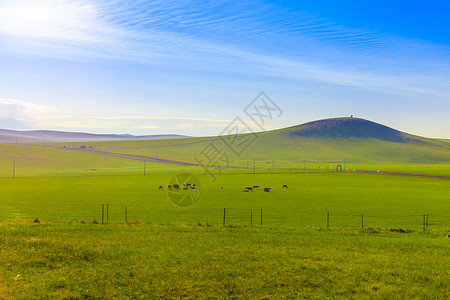 旅行路线推荐新西兰仙境格林诺奇草原美景背景