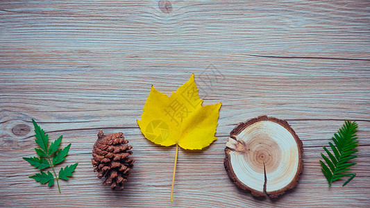 秋天的木头秋天黄色叶子素材背景