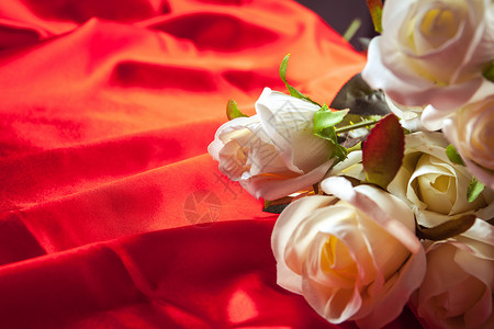 ps红布素材红背景上的白玫瑰背景