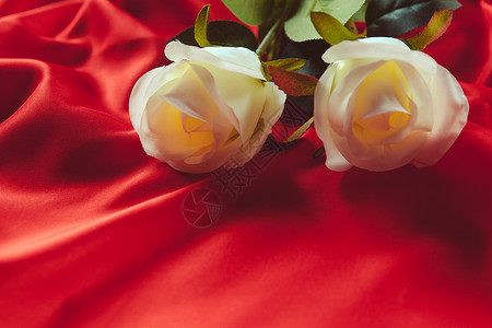 红色婚庆白玫瑰背景