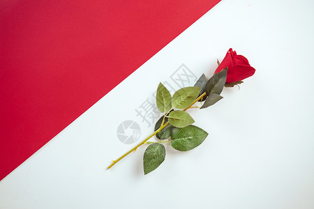 一朵红玫瑰花情人节创意广告背景