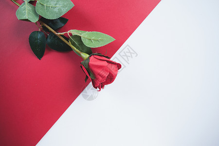 红玫瑰婚礼展板情人节创意广告背景