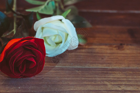 红白婚礼玫瑰花背景