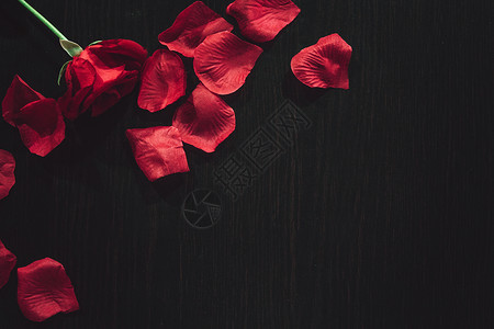红玫瑰玫瑰深色花高清图片