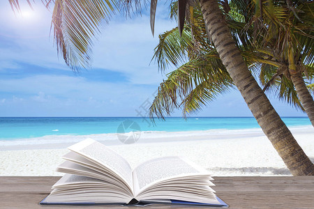 美丽沙滩海边椰子树下的书设计图片