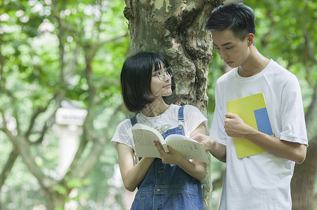 学校林荫道上男女同学下课一起学习看书背景图片