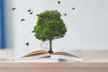 树与小鸟素材书中的树设计图片