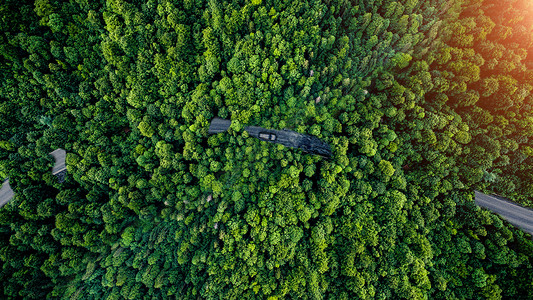 航拍图片穿越森林的公路设计图片