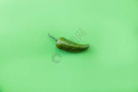 绿色背景上的绿色辣椒背景图片
