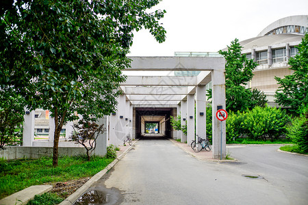 清华大学标志清华大学的一条通道背景