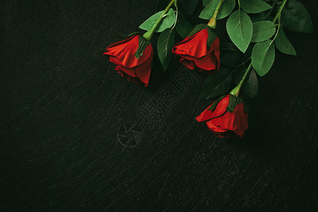 红玫瑰黑色高贵高清图片
