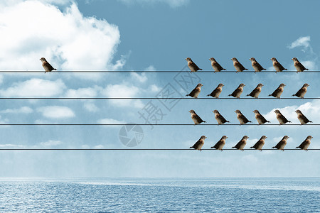 蓝天电线一只鸽子孤立无援设计图片