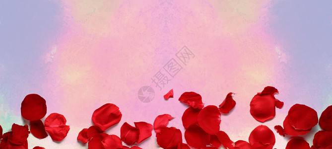 水彩玫瑰分割线水彩玫瑰背景设计图片