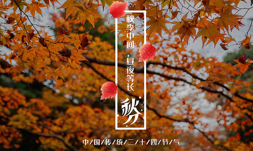 中国风秋分海报二十四节气之秋分设计图片