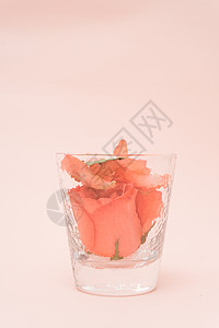 透明素材礼物玫瑰花与玫瑰花花瓣背景