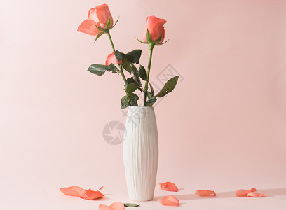 爱表白毛笔字花瓶中的玫瑰背景