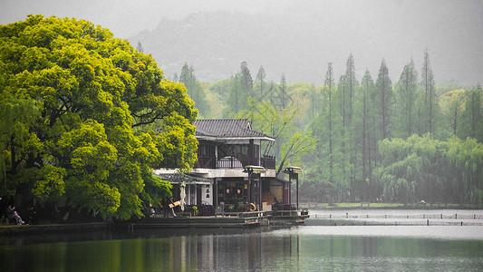 杭州西湖湖水绿树高清图片